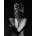 thumbnail image 2 of Shiki, Shizuo 15x18 White Modern Wood Framed Museum Art Print Titled - Leaf A Body, 2 of 4
