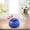 Blue, variant on Byujiro Paw Print Dog Training Bell, Pet Press Call Button for Interactive Communication, Durable Metal Desk Bell for Puppy Potty Training & Behavior Guidance