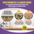 thumbnail image 4 of CLR Brands Probiotic Multi-Surface Cleaner, 22 oz. Bottle, Lemon Mist, All Purpose Cleaner, 4 of 7