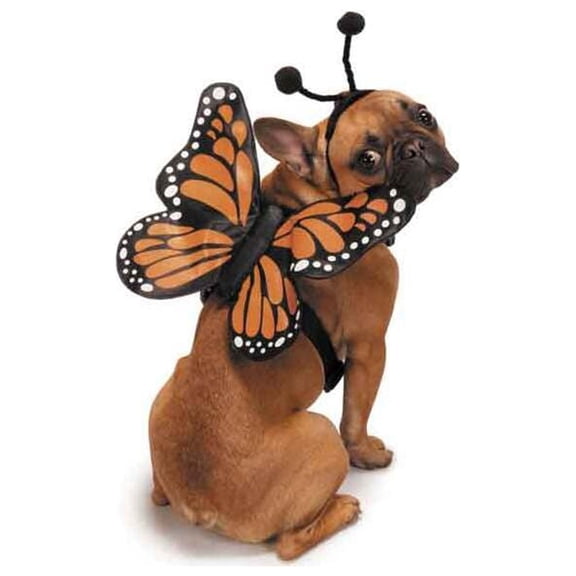 Zack & Zoey Butterfly Glow Harness Costume for Dogs, Large