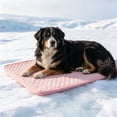 thumbnail image 2 of Leodye 1PCS Anti-slip Pet Cool Sleeping Pad Reusable Washable Cooling Bed for Puppies Kittens Indoor Sofa Crate Hot Weather Cooling Cushion -39.37x27.56in, 2 of 6