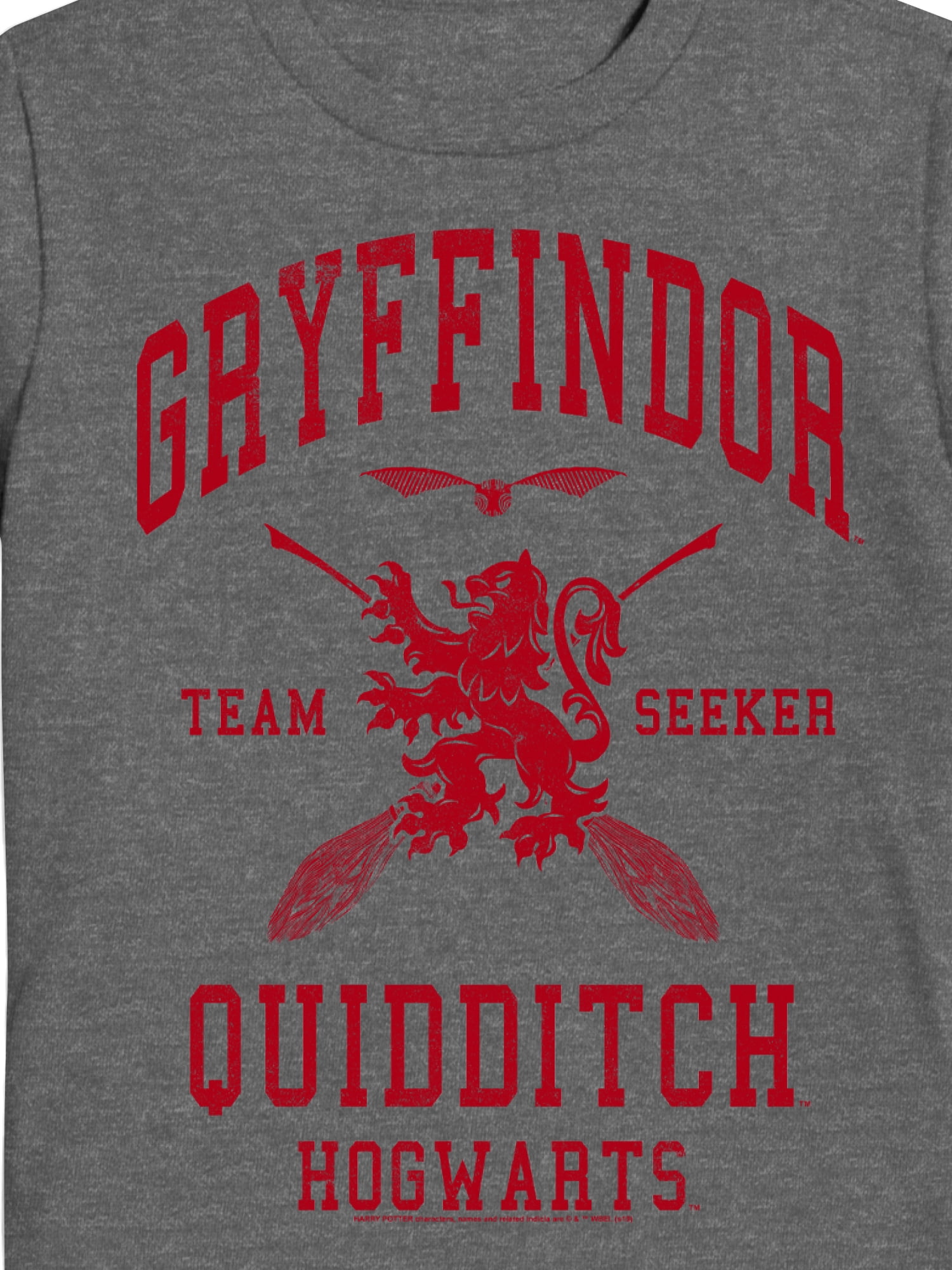 Harry Potter, Boys' & Big Boys' Graphic Tee, Gryffindor Quidditch Seeker, Sizes 4-18