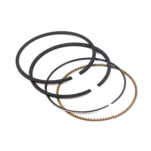 Briggs and Stratton Ring Set - Std