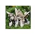 thumbnail image 2 of Fairy Garden Miniature Iris et Lyla, 2 of 2