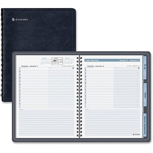 AtAGlance Daily Action Planner Appointment Book