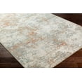 thumbnail image 2 of Boutique Rugs Dinos Contemporary Area Rug - Natural Gray, Nutmeg, Neutral - 2' x 2'11", 2 of 12