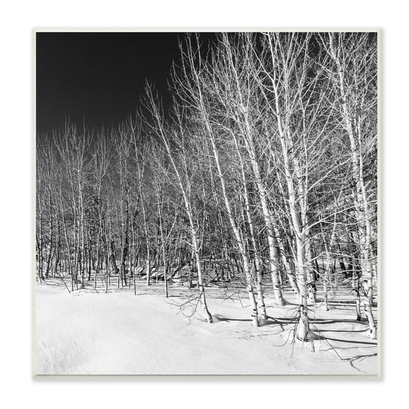 Stupell Industries Mysterious Snowy Forest Looming Nighttime Birch Trees Photograph Unframed Art Print Wall Art, Design by Steve Smith