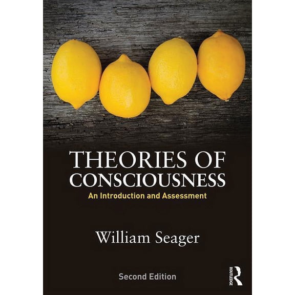 Theories of Consciousness: An Introduction and Assessment, (Paperback)