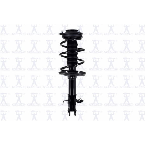 Suspension Strut and Coil Spring Assembly