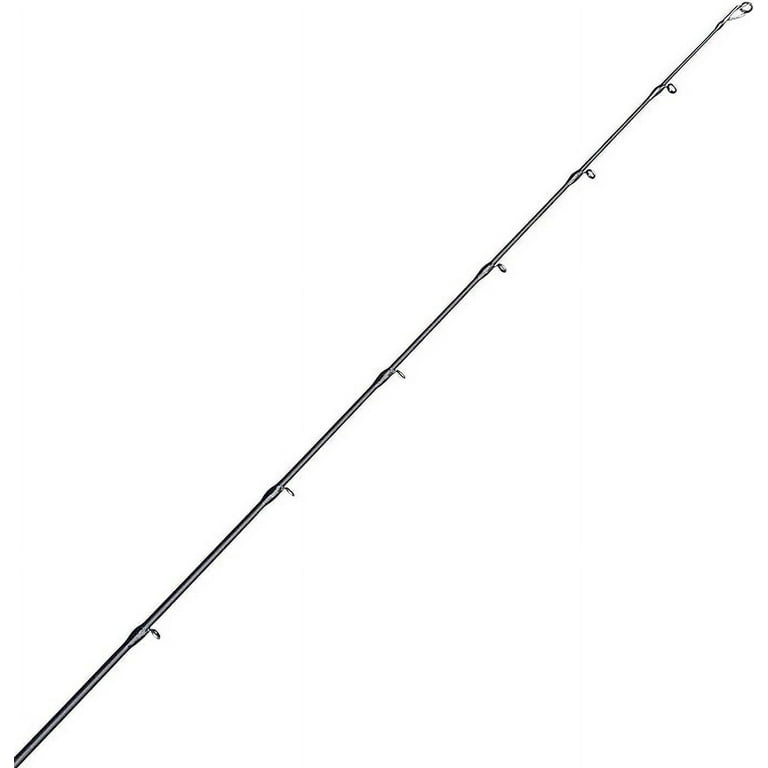 bg 4000 spinning combos Daiwa BG Salt Water Spinning Combo, 8'