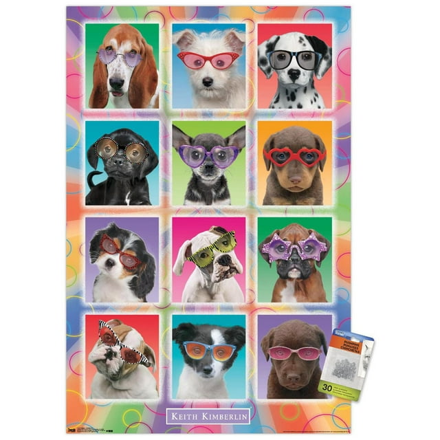 Keith Kimberlin - Chiots - Lunettes de soleil