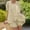 Set-319Khaki, variant on LEWKW Women's 2 Piece Pajama Set Gingham Plaid Short Sleeve Button Down Top And Ruffle Hem Shorts Matching Sets Cotton Blend Soft Sleepwear Lounge Sets Outfits