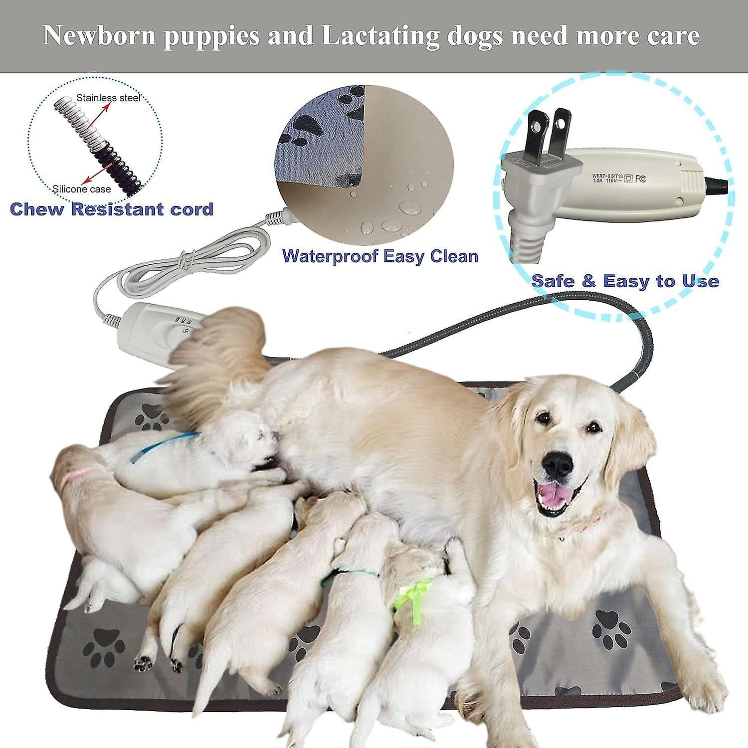 Dog heating pad walmart hotsell