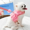 thumbnail image 5 of Small Dog Spring Skirt with Leashes Lace Dress Harness Clothes Fashion Outfit for Dogs Fashion Flower Chest Vest, 5 of 8
