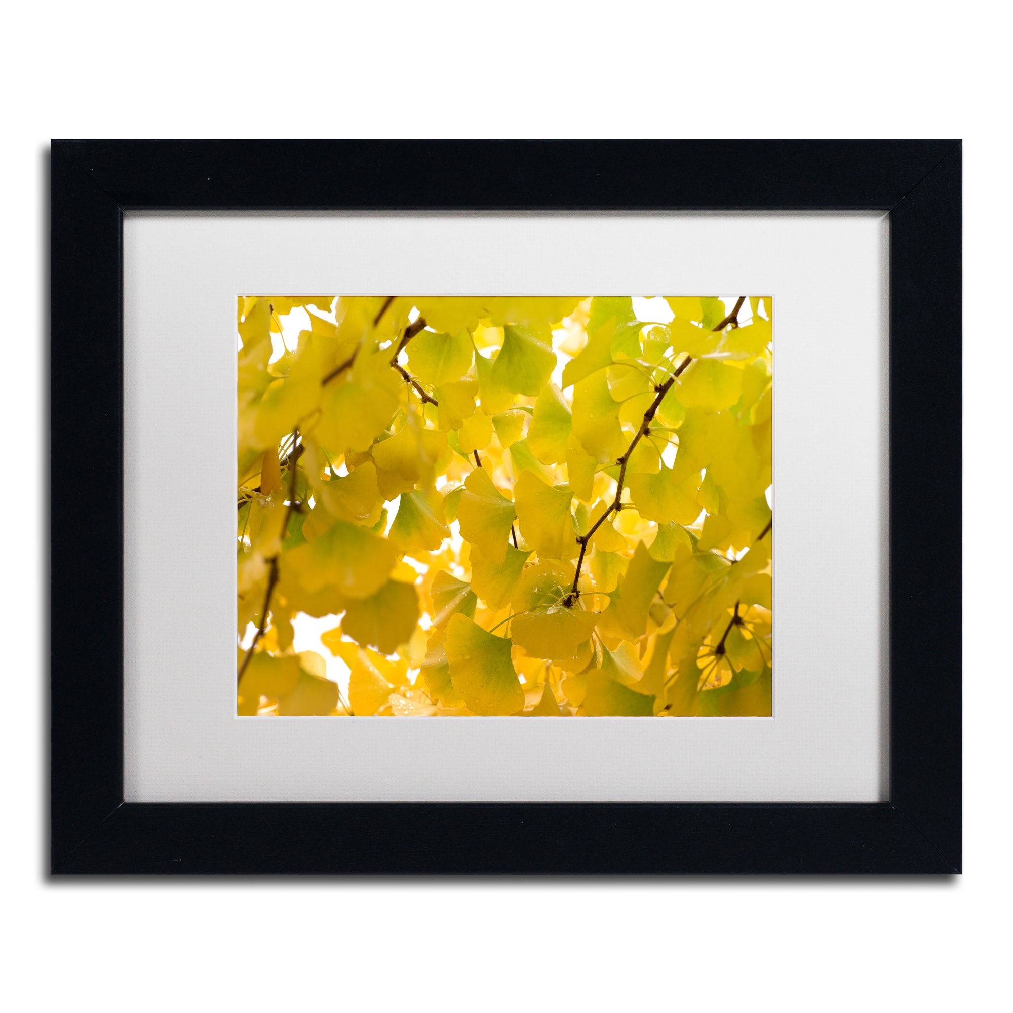 Trademark Fine Art "Yellow Autumn" Canvas Art by Philippe Sainte-Laudy White Matte, Black Frame