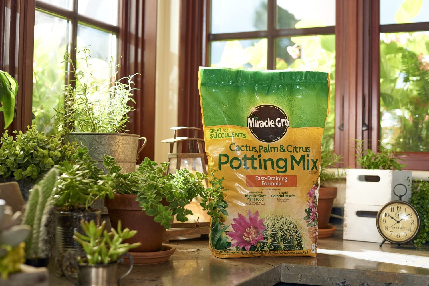 Miracle-Gro Cactus, Palm & Citrus Soil - For Containers , Added Fertilizer Feeds for 6 Months, 8 QT. 1-Pack