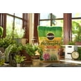 MiracleGro Indoor & Outdoor Garden Mix for Cactus, Palm & Citrus Soil