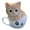 Orange, variant on Hi-Line Gift Ltd. Teacup Kitten Tabby Figurine