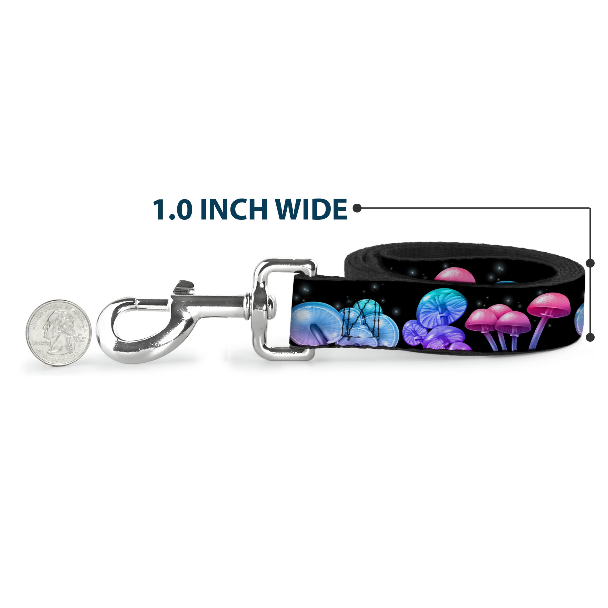 Buckle-Down Pet Leash, Dog Leash, Mushroom Glow Black Multi Color, 6 Feet Long 1.0 Inch Wide