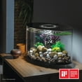 thumbnail image 2 of biOrb LOOP 15 Aquarium with Standard Light - 4 Gallon, Black, 2 of 8
