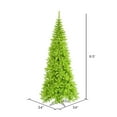 thumbnail image 3 of Vickerman 6.5' Lime Fir Slim Artificial Christmas Tree, Lime Dura-lit Incandescent Lights, 3 of 4