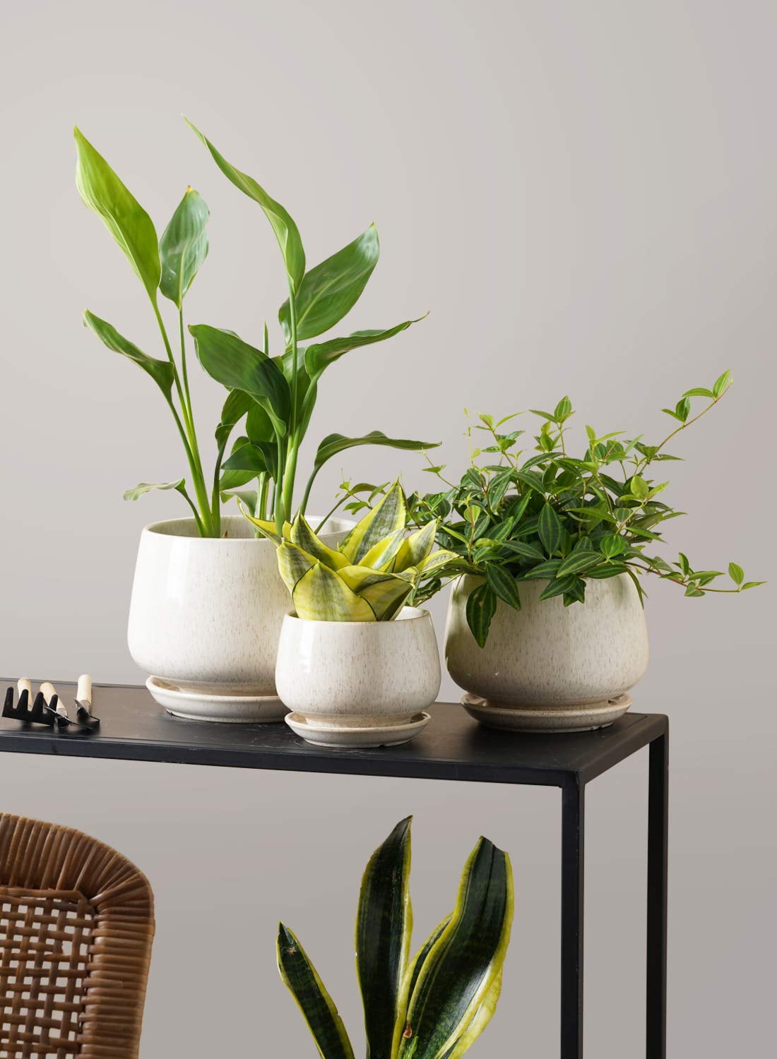 BEMAY Set of 3 Ceramic Plant Pots with Drainage Hole and Saucer, 4.1" 5.1" 6.5" Flower Pots, Indoor Outdoor Planters for Home Patio Garden Decor, Reactive Glaze Beige (Plants Not Included)