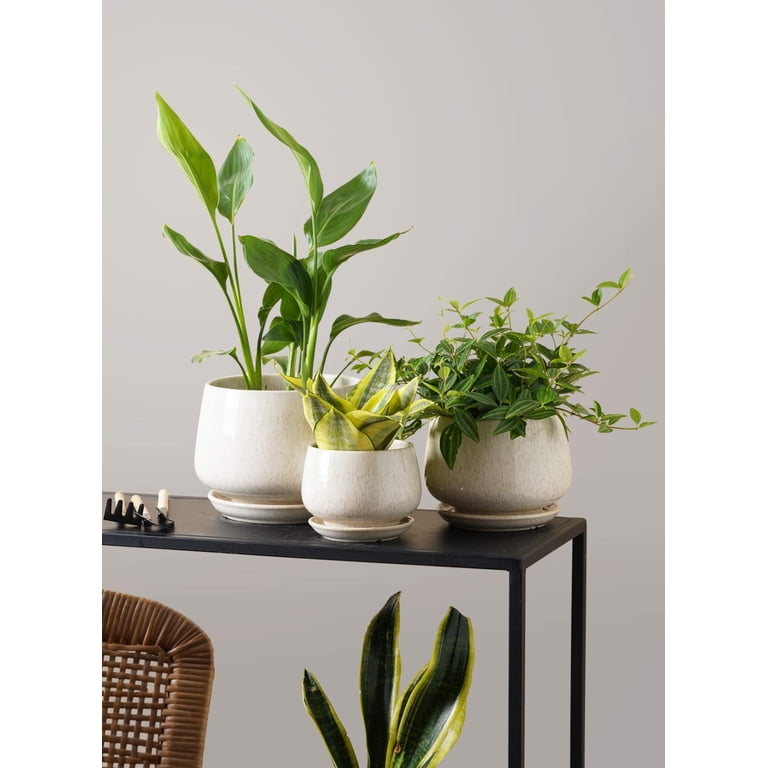 BEMAY Ceramic Plant Pots Set of 3 (4.1, 5.1, 6.5 Inch), Drainage Hole and  Saucer, Beige - Walmart.com