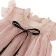 thumbnail image 3 of Girls Mesh Tulle Party Dress Princess Lace Ball Gown 2-8 Years Old, 3 of 9