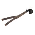 thumbnail image 1 of Bird Branch Perch Stand Training Interactive Prevent Slip Wooden Parrot Perch with Suction Cups for Small Medium Bird 25cm / 9.8in, 1 of 4