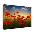 thumbnail image 4 of Albena Markova 'Poppies' Canvas Art, 4 of 4