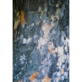 thumbnail image 2 of Grayscale 18x24 White Modern Wood Framed Museum Art Print Titled - Bark Scales IV, 2 of 4
