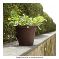 thumbnail image 4 of Macetas Rattan 30cm con Plato Anti Escurrimiento Chocolate PLASTICOS LA ARDILLA, 4 of 4