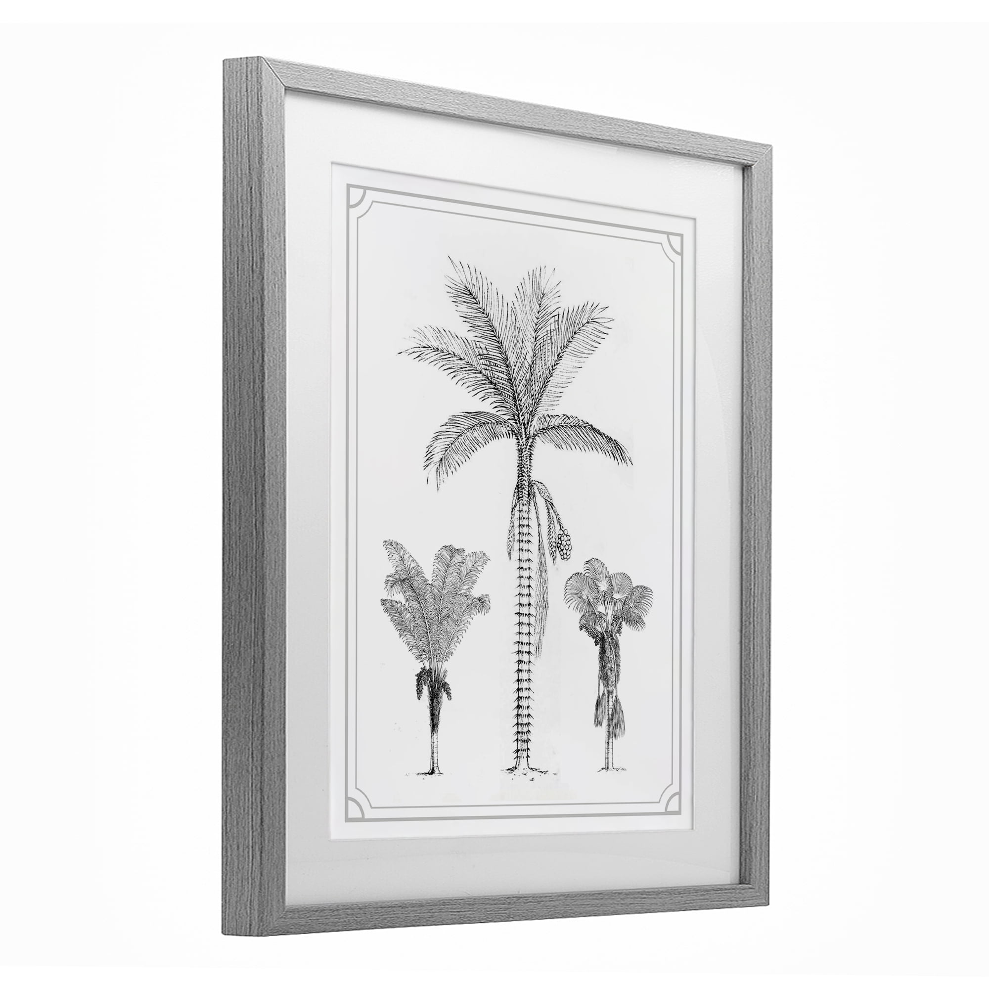 Palm Tree Trio Sketches Gray Framed Print Under Glass, design by Lettered and Lined