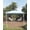 Light Blue, variant on Goldensoil 12'x12' Pop up Gazebo,Outdoor Canopy Shelter with 4 Stanbags for Garden,Olive Green
