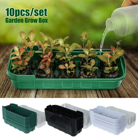 

Egdank 10 Cells Seedling Starter Tray Seed Germination Garden Flower Plant Pots Plant Grow Seedling Germination Kit