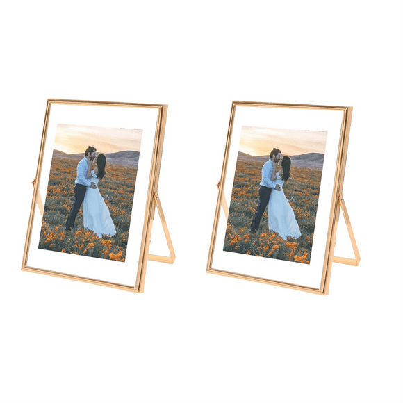 4X6 Picture Frame Set of 2, for Multiple Photo Sizes (4X6, 3X5, 2X3), Metal Glass Floating Picture Frame