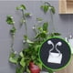 thumbnail image 5 of Clips de plantas de escalada Lámparas de pared Jardín Hortalizas para verduras Soporte adhesivo Accesorios de soporte de oficina Organizador de cable de oficina pequeño 100 piezas tholdsy HA028245-01, 5 of 7