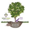 thumbnail image 3 of Cestas para plantas VOLE KING Gopher Vole, 4 unidades, acero inoxidable, 4 litros, 3 of 9