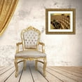 thumbnail image 3 of Vallotton, Felix 18x15 Gold Ornate Wood Framed with Double Matting Museum Art Print Titled - Third Level at the Theatre in Chatelet, 3 of 4