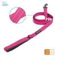 thumbnail image 2 of Voyager Reflective Leash Bag Dispenser Set with Neoprene Handle, 5ft Long, Supports Small, Medium, and Large Breed Puppies, Cute and Heavy Duty for Walking, Running, and Training - Fuchsia, M, 2 of 6