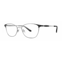 Dana Buchman Wentworth Eyeglasses SI Silver