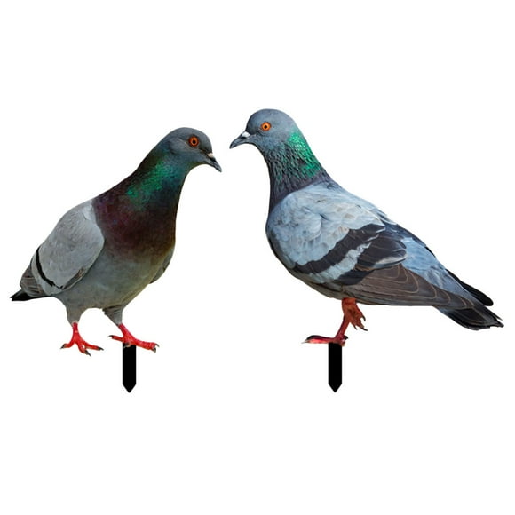 2Pcs Pigeons Jardin Piquet Décoration au Sol Insérer Pigeons Réalistes Sculpture Acrylique Piquets Animaux