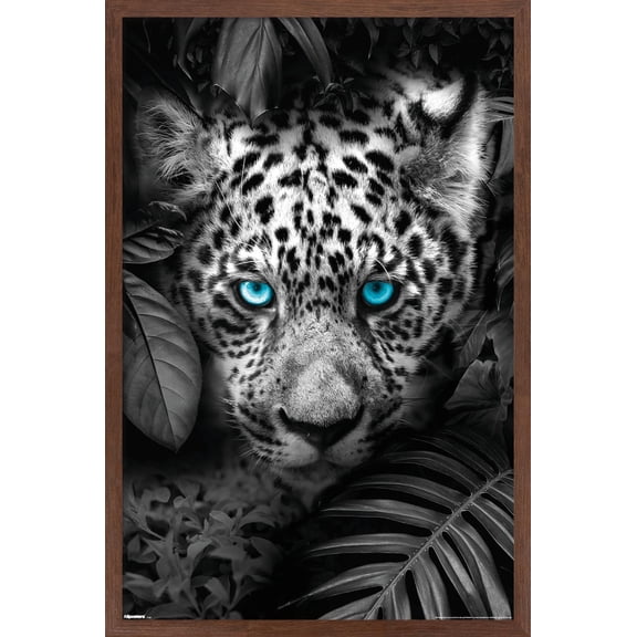 Reinders: Animals - Blue Eyed Leopard Wall Poster, 14.725" x 22.375" Framed