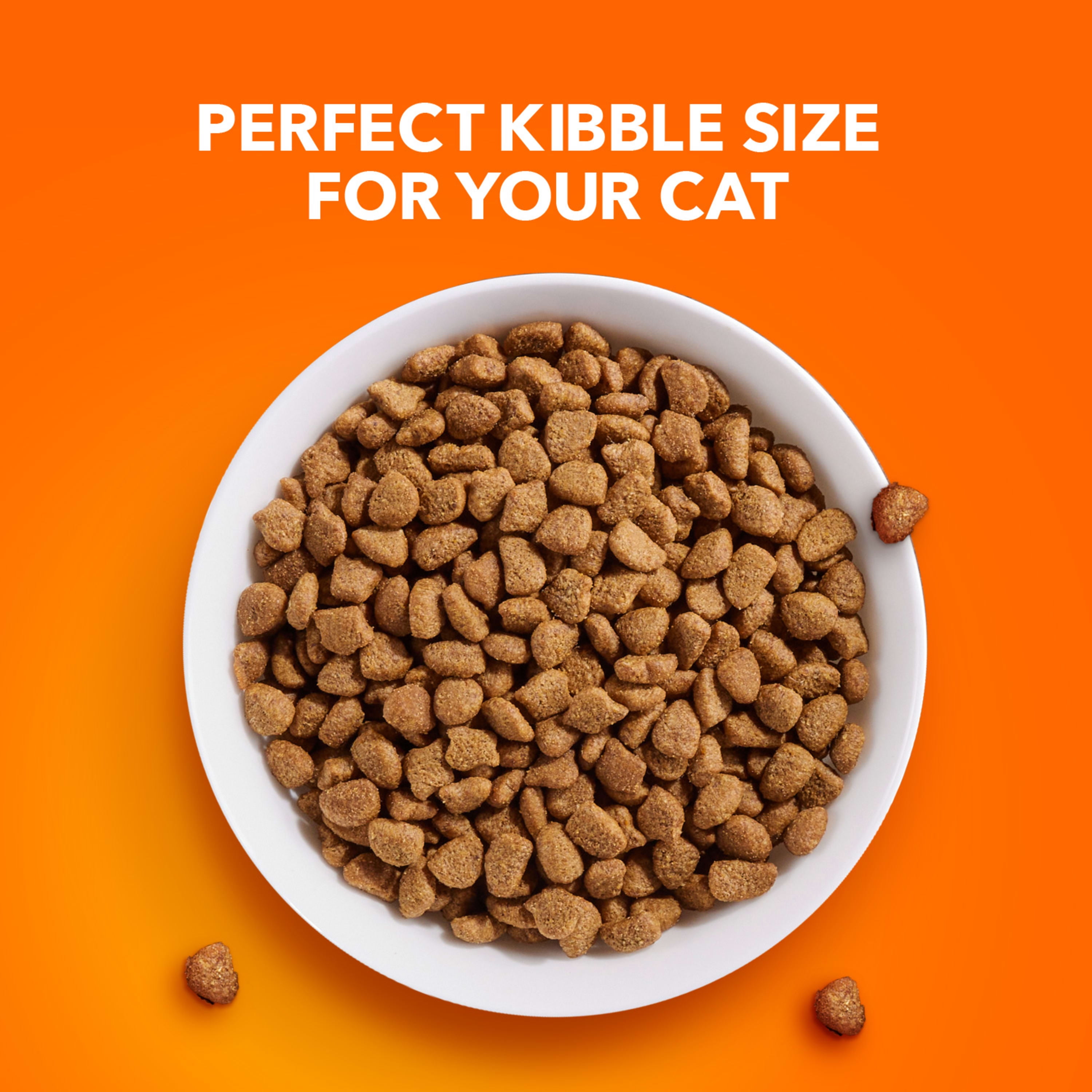 IAMS PRH UTH CK 22 LB