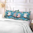 thumbnail image 7 of Cute Owls Blue Plush Pillowcase, Luxury Soft King Pillow Case for Hair and Skin, Standard Size Pillow Covers with Zipper Closure, 20x30in Home Decor Gifts, 7 of 7