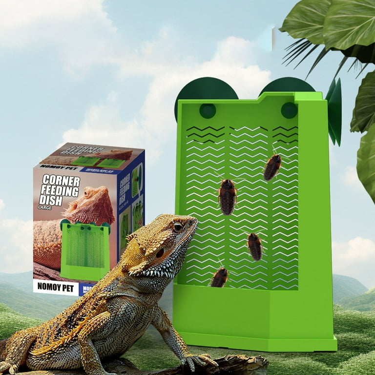 Bearded Dragon Feeder Chameleon Feeder Box Reptile Feeder Cricket Feeder  with Suction Cup Food Dispenser Wall Mounted Insect Feeder for Lizard,  Iguana, Gecko,Bearded Dragon - Walmart.com