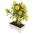 thumbnail image 1 of OHOIOLLA Planta Falsa Con Para De Espacios Interiores, 1 of 7
