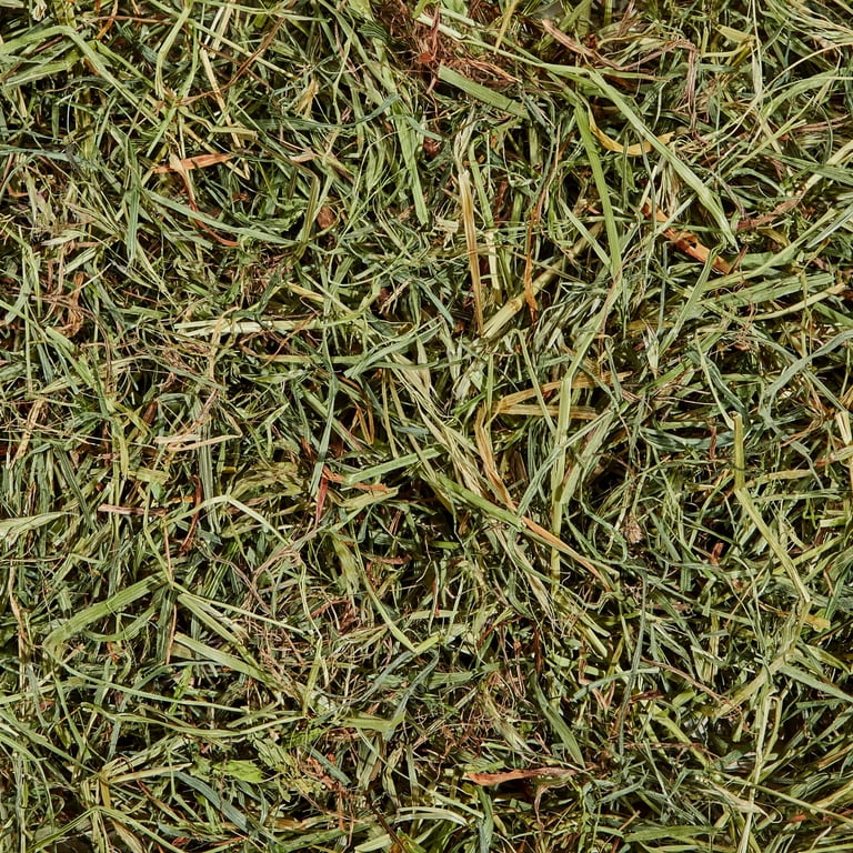 Kaytee Orchard Grass Hay, 24 oz photo 8