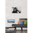 thumbnail image 2 of Chimp with Headphones on Wall Wall Poster, 14.725" x 22.375", 2 of 3