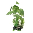 thumbnail image 2 of Planta Agua Decoración de Césped Pecera Adornos Decoración 22cm Yuyangstore Reptil Terrario Césped, 2 of 8